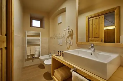 a bathroom with a sink and a toilet and a mirror at Albergo Garnì Antico Mas del Medico in Cavalese