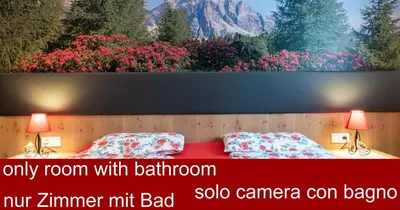 a room with two beds and a painting of flowers at Ciasa Pradac in San Vigilio Di Marebbe