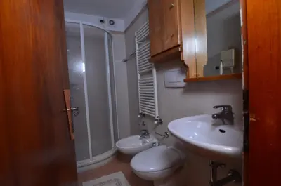 a bathroom with a sink and a toilet and a shower at Lungoboite 14 - Cortina in Cortina dʼAmpezzo