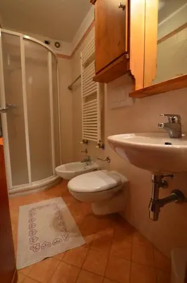 a bathroom with a sink and a toilet and a shower at Lungoboite 14 - Cortina in Cortina dʼAmpezzo