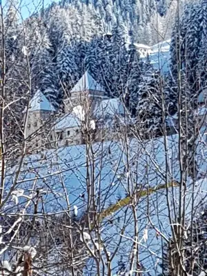a house in the middle of a snow covered forest at Albert - Bon Di in Santa Cristina in Val Gardena