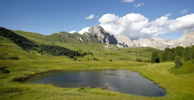 a pond in a field with mountains in the background at Garni Waltoy in Selva di Val Gardena