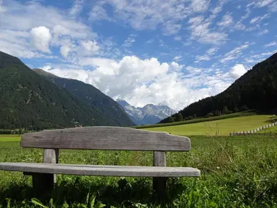 a wooden bench sitting in a field with mountains at Bio.top.Appartement in Rasun di Sopra