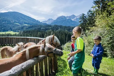 two boys are looking at a horse by a fence at Haubenthal in Villabassa