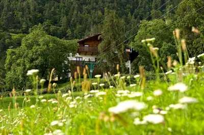 a house on a hill with a field of flowers at Gasthaus Gasteiger in Lagundo