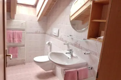 a bathroom with a sink and a toilet and a mirror at App Unterhoezlhof in Valdaora