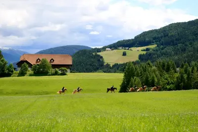 a group of horses running in a field at App Unterhoezlhof in Valdaora