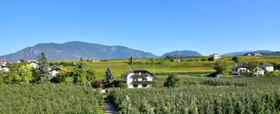 a village in the middle of a vineyard with a house at Arboris Appartement in Appiano sulla Strada del Vino