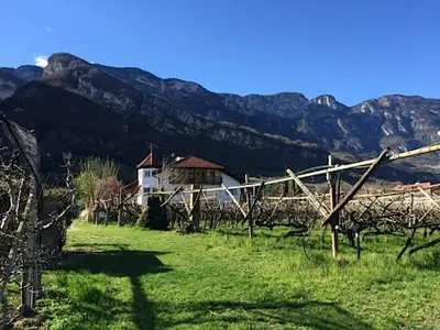a house in a field with mountains in the background at Ferienwohnung Eichnerhof in Magrè allʼ Adige