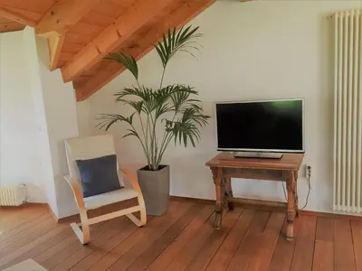a living room with a tv and a chair and a plant at Ferienwohnung Eichnerhof in Magrè allʼ Adige