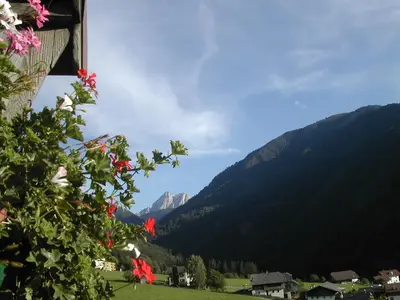a view of a valley with mountains and flowers at Gedrarzerhof in Luson