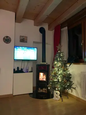 a living room with a christmas tree and a fireplace at Casa Romeo in San Vito di Cadore
