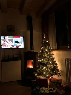 a christmas tree in a living room with a television at Casa Romeo in San Vito di Cadore