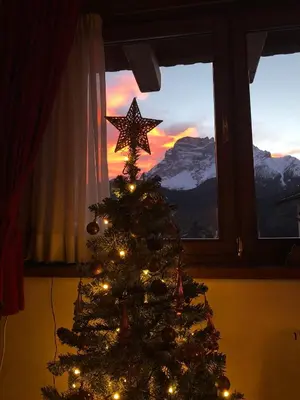 a christmas tree with a star on it in front of a window at Casa Romeo in San Vito di Cadore