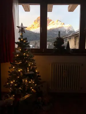 a christmas tree with lights in a room with a window at Casa Romeo in San Vito di Cadore