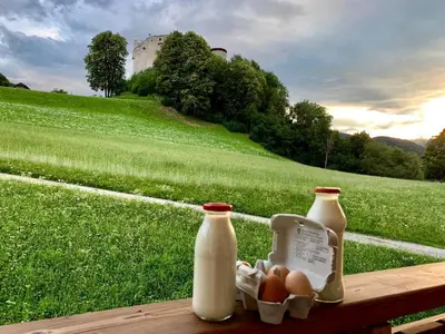two bottles of milk and eggs sitting on a bench in a field at Ferienwohnungen Schlosshäusl in San Lorenzo di Sebato
