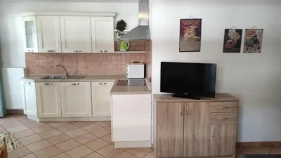a kitchen with a sink and a tv on a counter at Cesa Stefi in Canazei