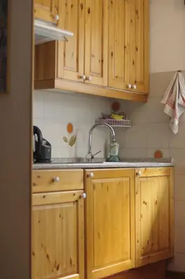 a kitchen with wooden cabinets and a sink at Appartamento Esprit Des Alpes in Canazei