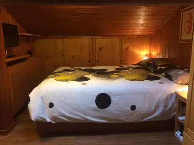 a bedroom with a bed in a wooden room at Appartamento Esprit Des Alpes in Canazei