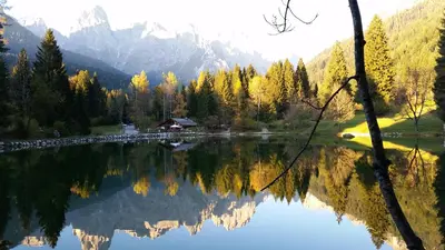 a view of a lake with trees and mountains in the background at Casa Alice 5.5 in Fiera di Primiero