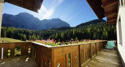a cat sitting in a pot of flowers at Lüch da Spescia in La Valle