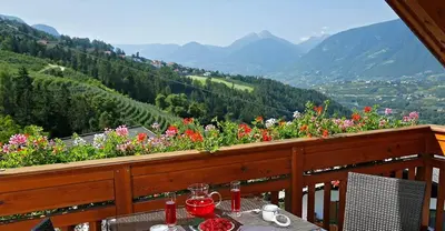a table and chairs on a balcony with flowers at Berg-Weiler-Obereggerhof in Schenna
