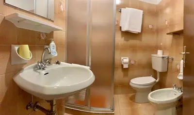 a bathroom with a sink and a toilet at Appartamento Piè in Canazei