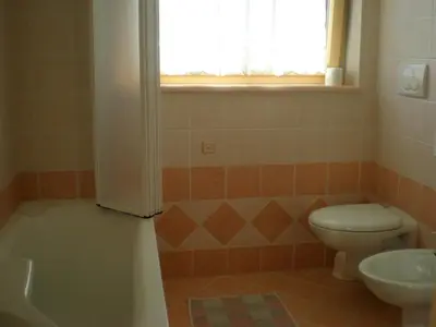 a bathroom with a toilet and a sink at Anna Apartment in Pozza di Fassa
