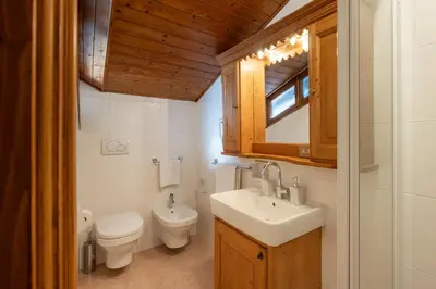 a bathroom with a sink and a toilet and a mirror at ATTICO Lodge in Cortina dʼAmpezzo