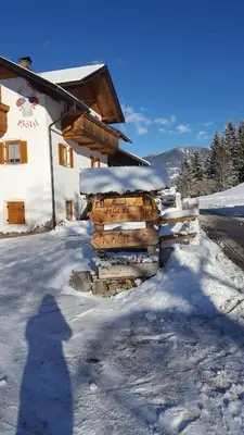 a shadow of a person standing in the snow next to a building at Hölzlhof in Brunico