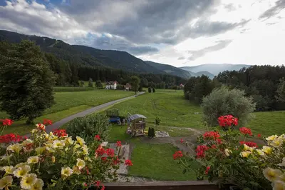 a view of a field with flowers and a road at Hölzlhof in Brunico