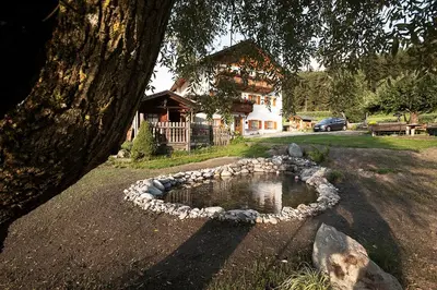 a pond in front of a house with a building at Hölzlhof in Brunico