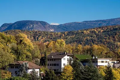 a group of houses in the mountains with trees at Haus Dorfblick in Caldaro