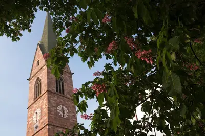 a church steeple with a clock tower with pink flowers at Pension Runer in Terlano