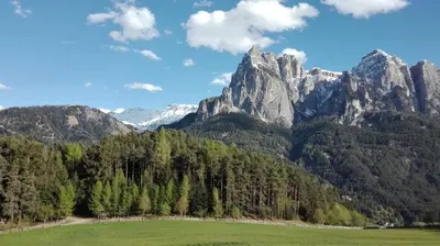 a mountain range with a green field and trees at Parlunkhof in Castelrotto