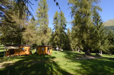 two buildings in a field with trees and grass at Club del Sole Val di Fiemme Easy Camping Village in Bellamonte