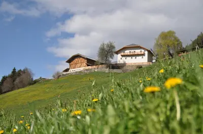 a house on a hill with a field of flowers at Platzbon in Bressanone
