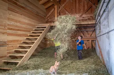 a woman eating hay in a barn with a cat at Platzbon in Bressanone