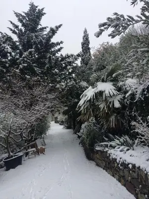 a snow covered path with a bench and trees at Biohof Niedereben in Rablà