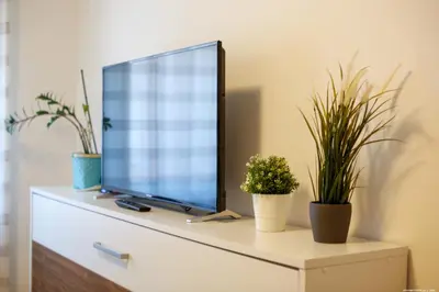 a tv sitting on top of a dresser with plants at Apartment Merano in Merano