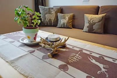 a coffee table with a plant on top of a couch at Agriturismo Lüch de Vanc in San Martino in Badia