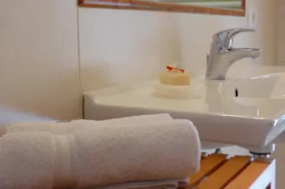 a bathroom with a sink and a towel at Apartments Ansciuda in Ortisei