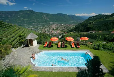 a swimming pool with a view of a mountain at Hotel Garni Vigilhof in Lana