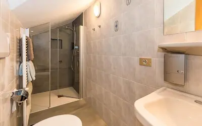 a bathroom with a shower and a toilet and a sink at Haus Claudia B&B in Nova Levante