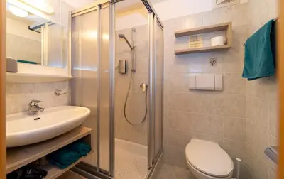 a bathroom with a shower and a toilet and a sink at Haus Claudia B&B in Nova Levante