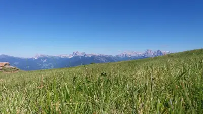 a green field of grass with mountains in the background at Malsethhof in Villandro