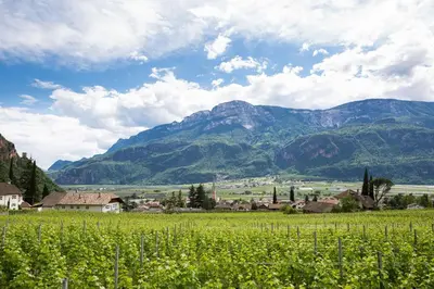 a field with mountains in the background and a town at Ferienwohnungen Hochbrunner in Terlano