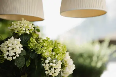 a bunch of white flowers hanging from two lights at Apartment Wieser Eppan in Appiano sulla Strada del Vino