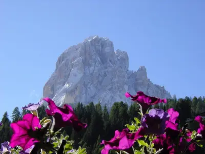 a mountain with purple flowers in front of it at B&B Aretia in Santa Cristina in Val Gardena
