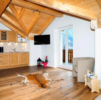a living room with a couch and a tv at Niederhof in Parcines